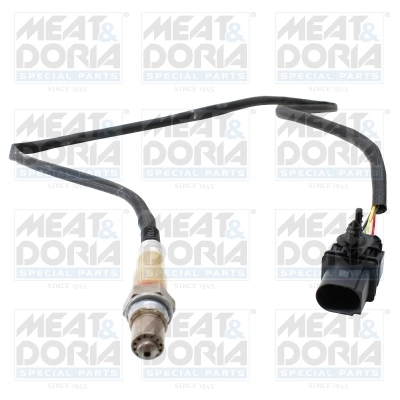 Oxygen Sensor